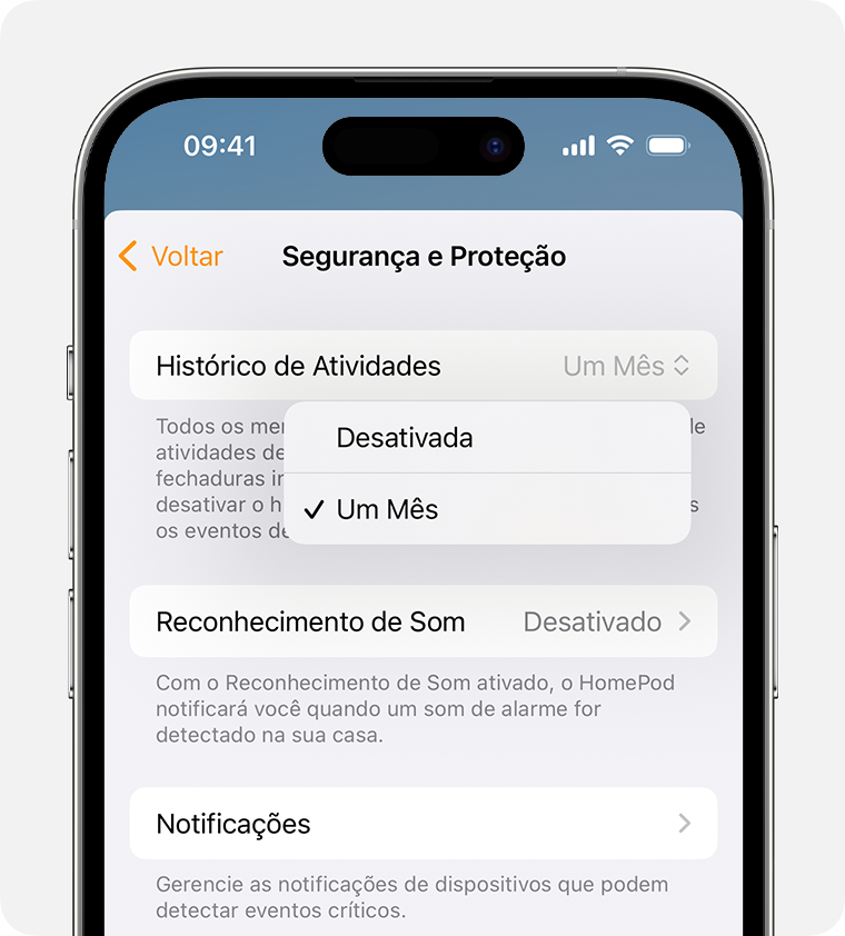 O Histórico de Atividades aparece na parte superior da tela "Segurança e Proteção"