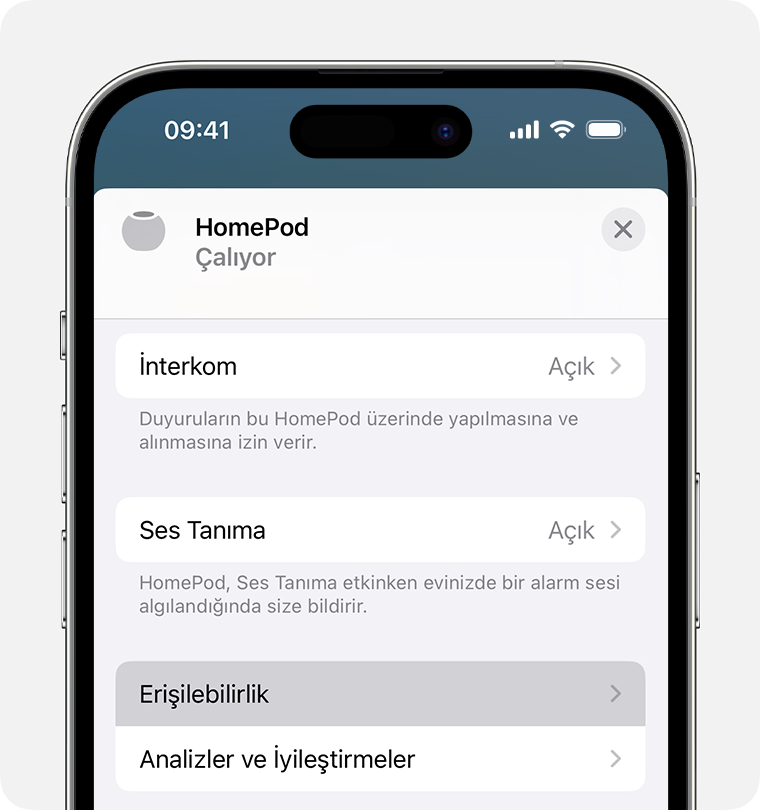 HomePod ayar ekranında, Analiz ve İyileştirmeler'den önce görünen Erişilebilirlik seçeneği