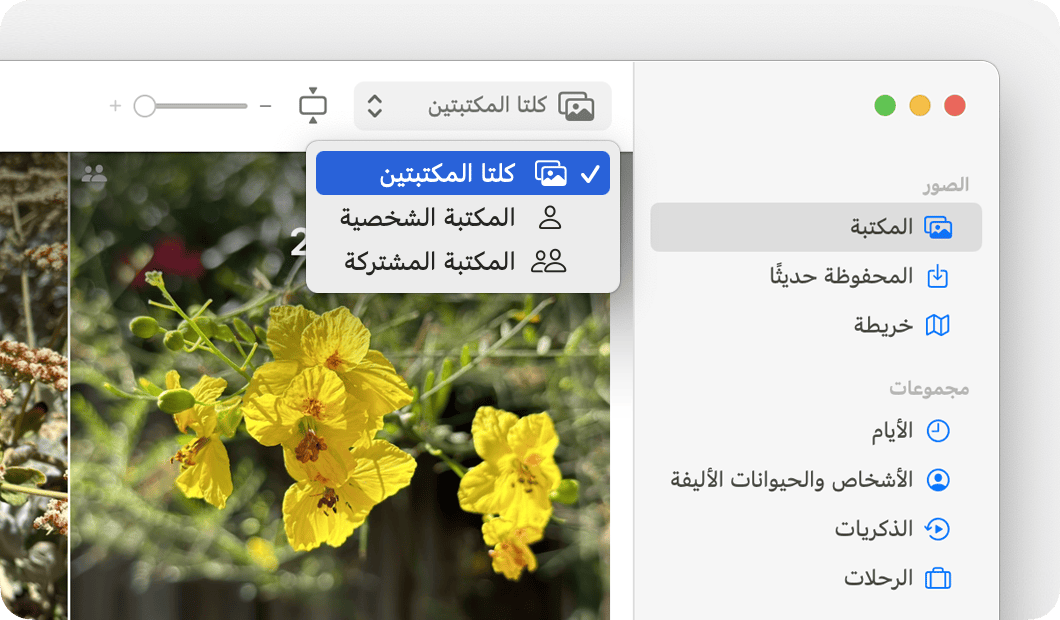 شاشة Mac تعرض إمكانية التبديل بين خيارات "كلتا المكتبتين" و"المكتبة الشخصية" و"المكتبة المشتركة". 