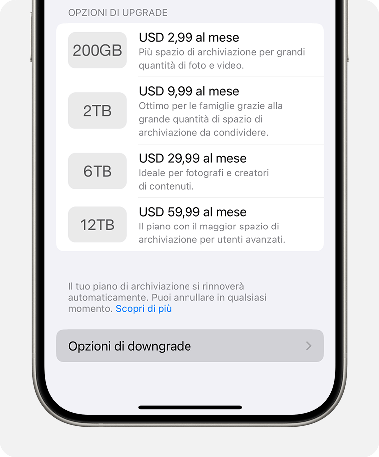 Schermata di iPhone che mostra l'interruttore delle opzioni di downgrade