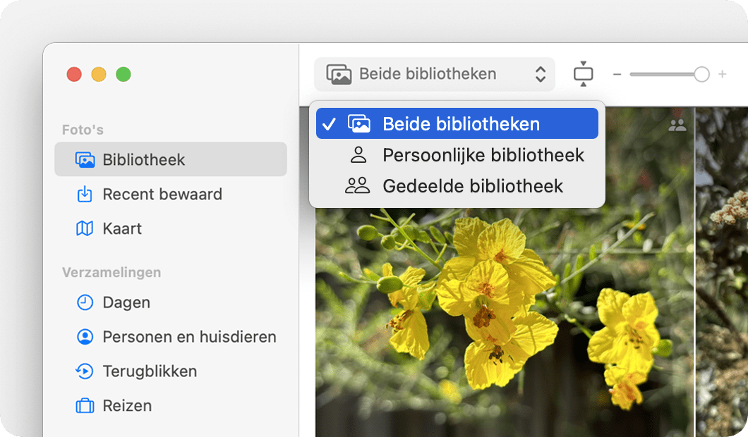 Een Mac-scherm dat laat zien dat je kunt schakelen tussen 'Beide bibliotheken', 'Persoonlijke bibliotheek' en 'Gedeelde bibliotheek'. 