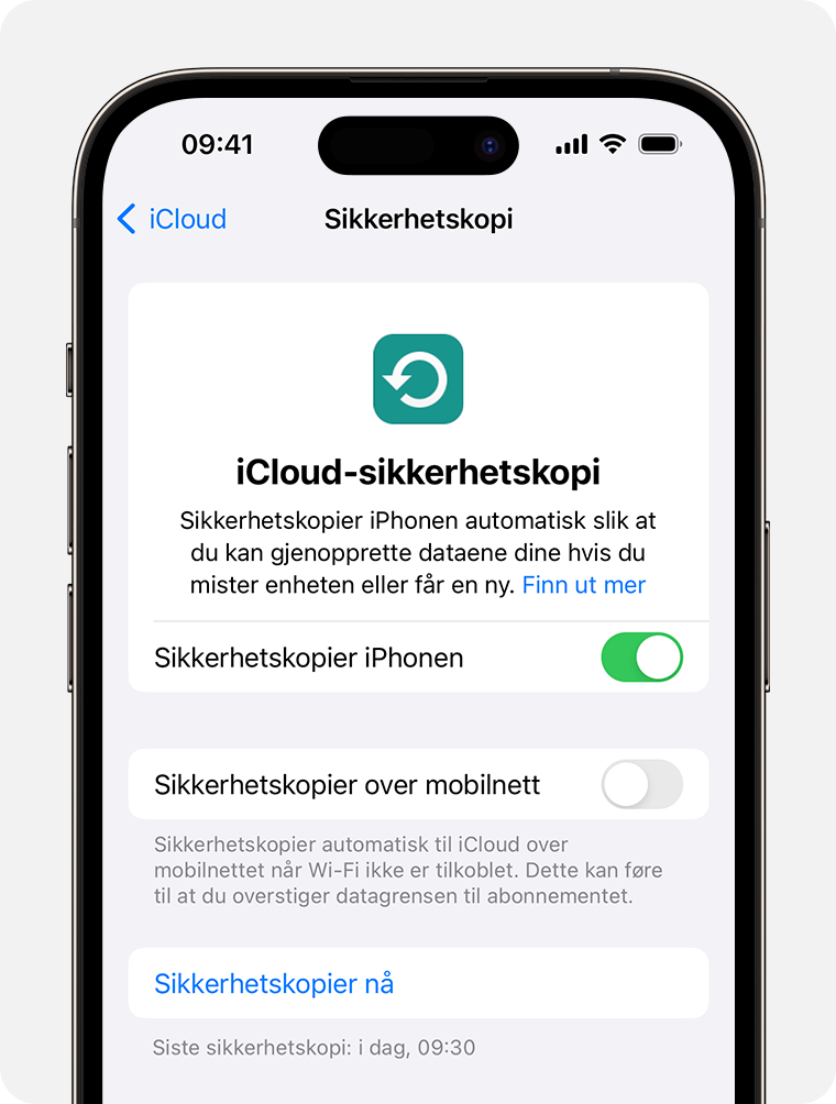 Bruk iCloud-sikkerhetskopi til å sikkerhetskopiere dataene på iPhonen som ikke allerede er synkronisert med iCloud.