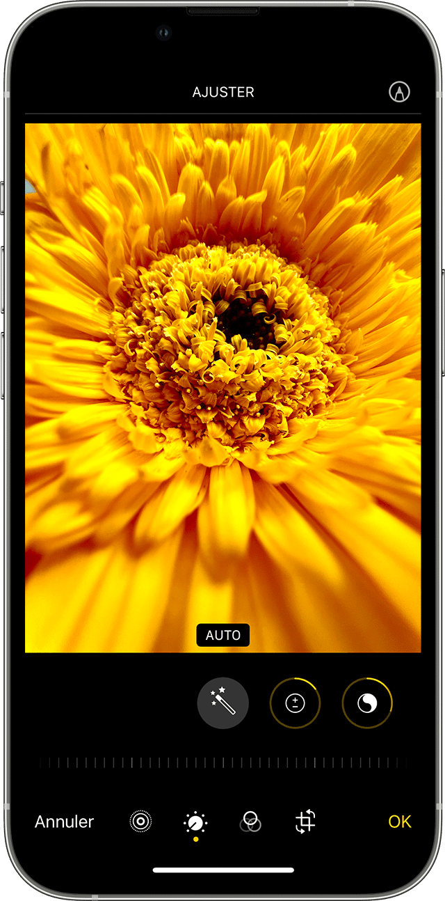 iPhone with Photo edit screen shown