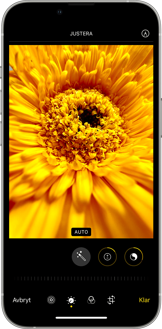 iPhone with Photo edit screen shown