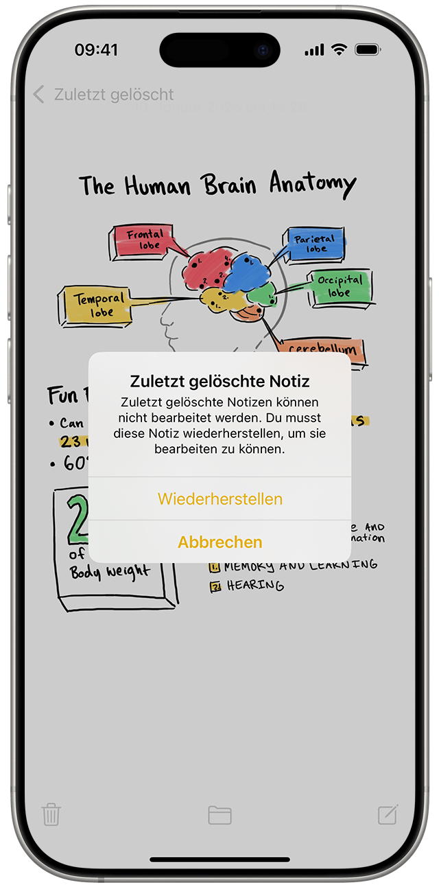 In der Liste „Ordner“ in der Notizen-App kannst du kürzlich gelöschte Notizen anzeigen und anschließend wiederherstellen.