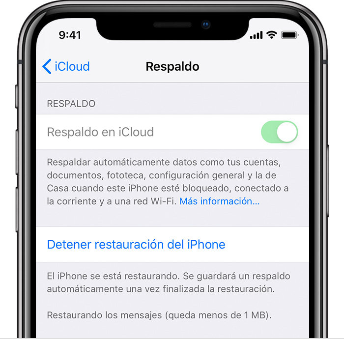 iPhone showing iCloud Backup turned on