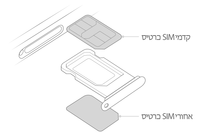 בתמונה רואים מגש SIM עם כרטיס SIM קדמי וכרטיס SIM אחורי