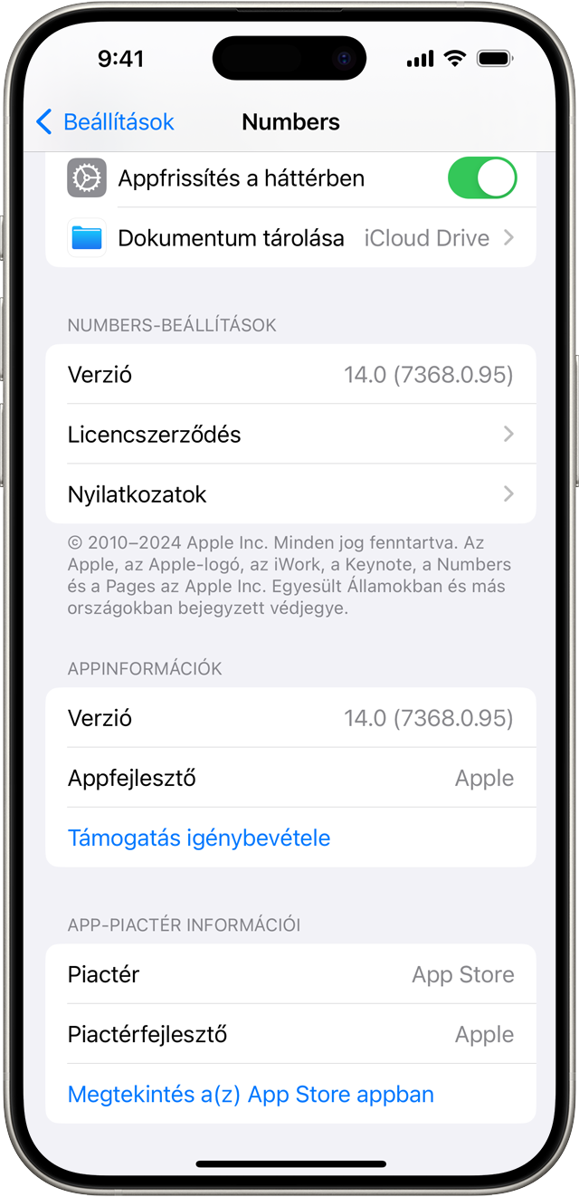 Egy iPhone-ra telepített alkalmazás Beállítások képernyője, amelyen annak a piactérnek a neve látható, ahonnan az alkalmazás telepítve lett, illetve a Támogatás kérése hivatkozás is látható.