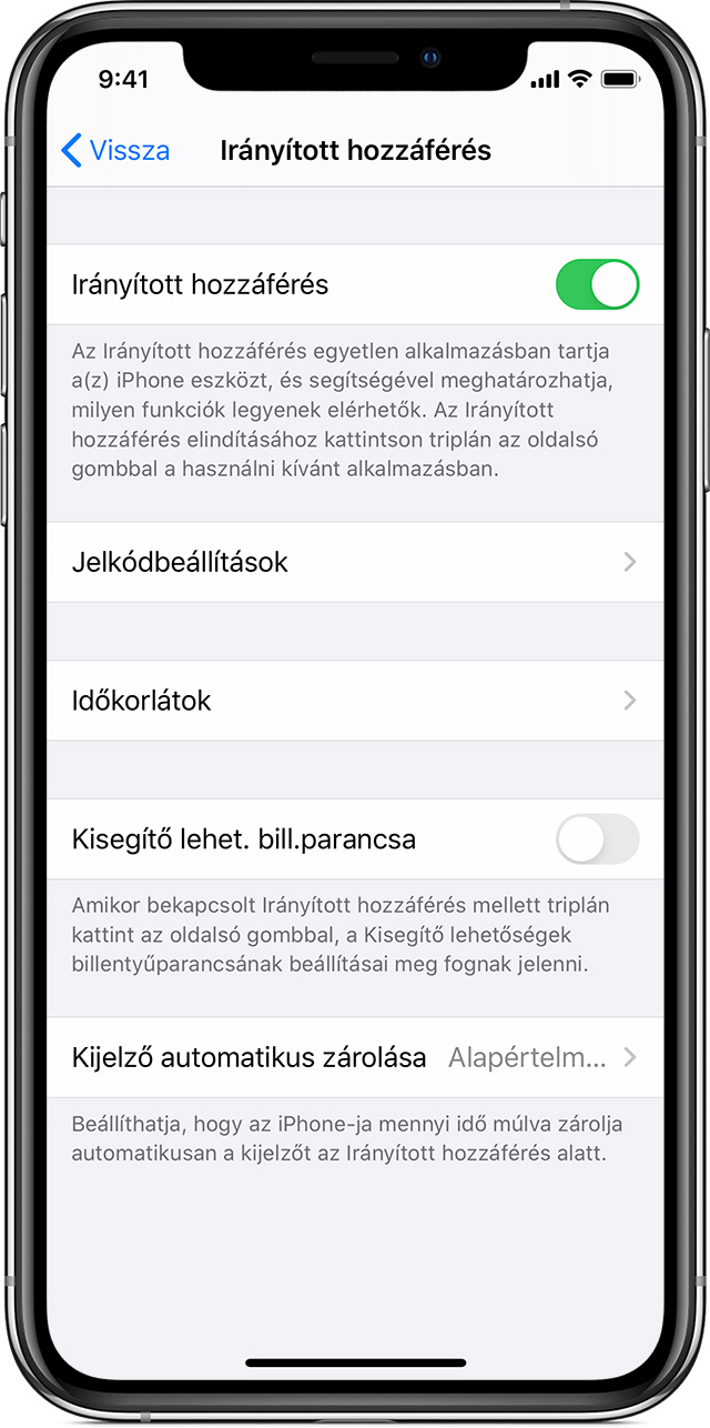  ios13-iphone-xs-settings-accessibility-guided-access