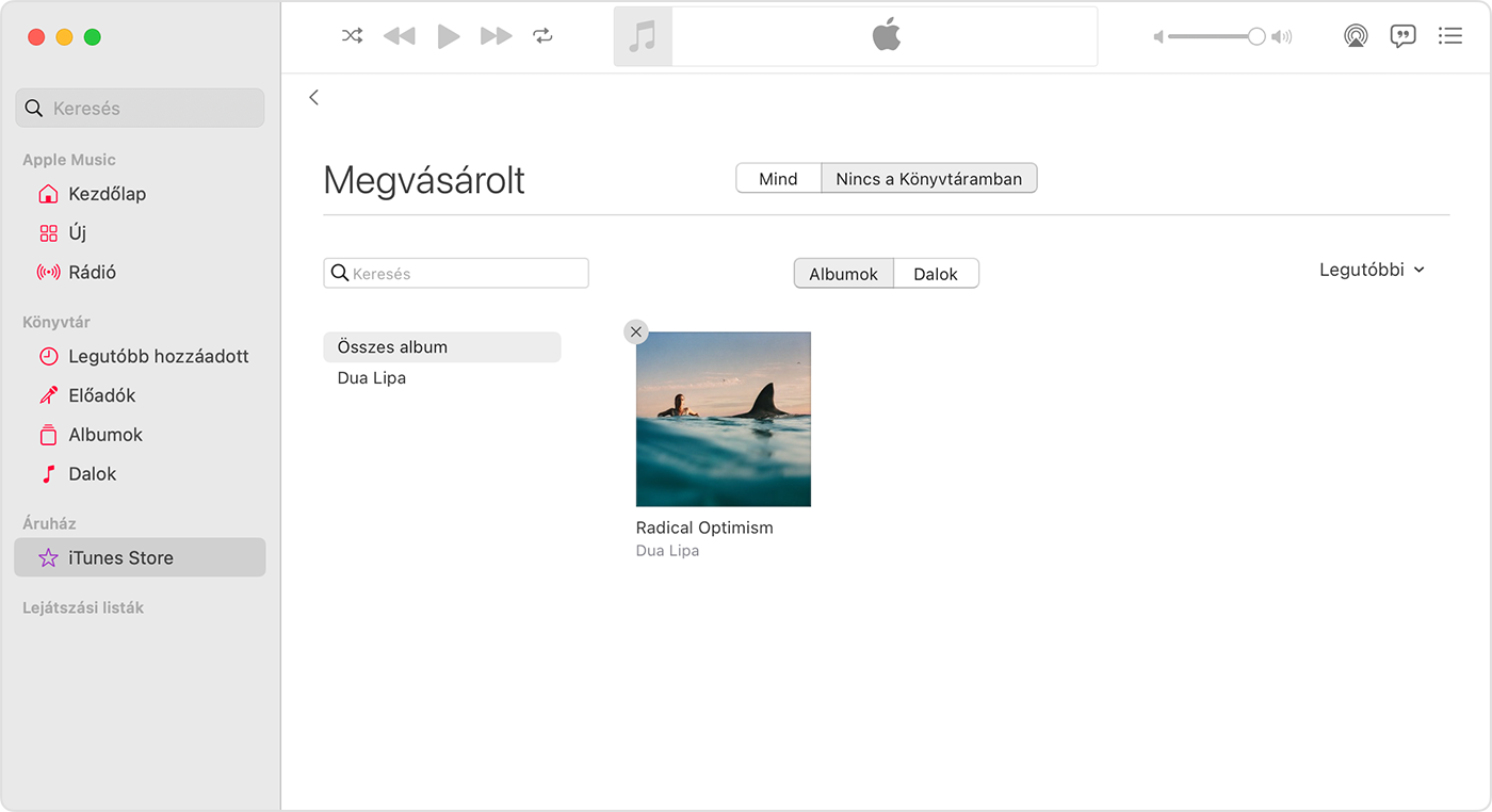 Egy Macen az Apple Music appban a Vásárlások elrejtése gomb látható egy megvásárolt elemen