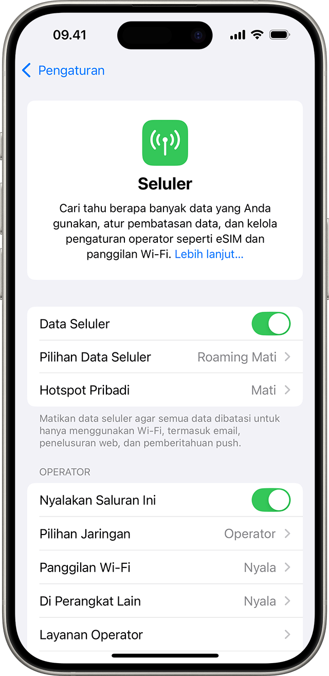 Menu pengaturan iOS 18 yang menampilkan pilihan seluler