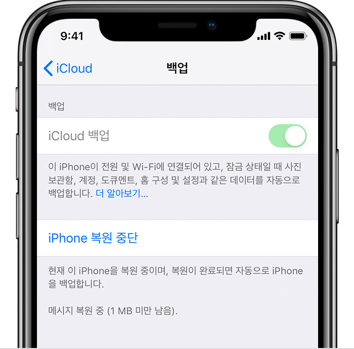 iPhone showing iCloud Backup turned on