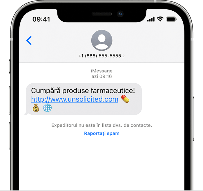 În partea de jos a unui mesaj, poți atinge opțiunea de a raporta un mesaj iMessage ca spam.