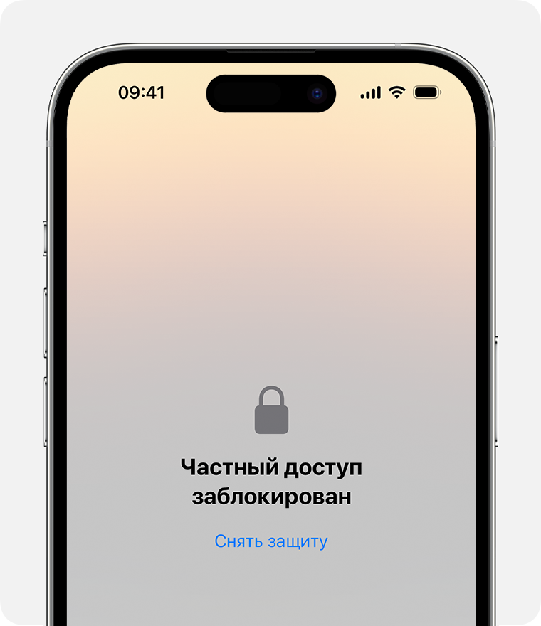 Частное окно с установленной защитой в Safari на iPhone.