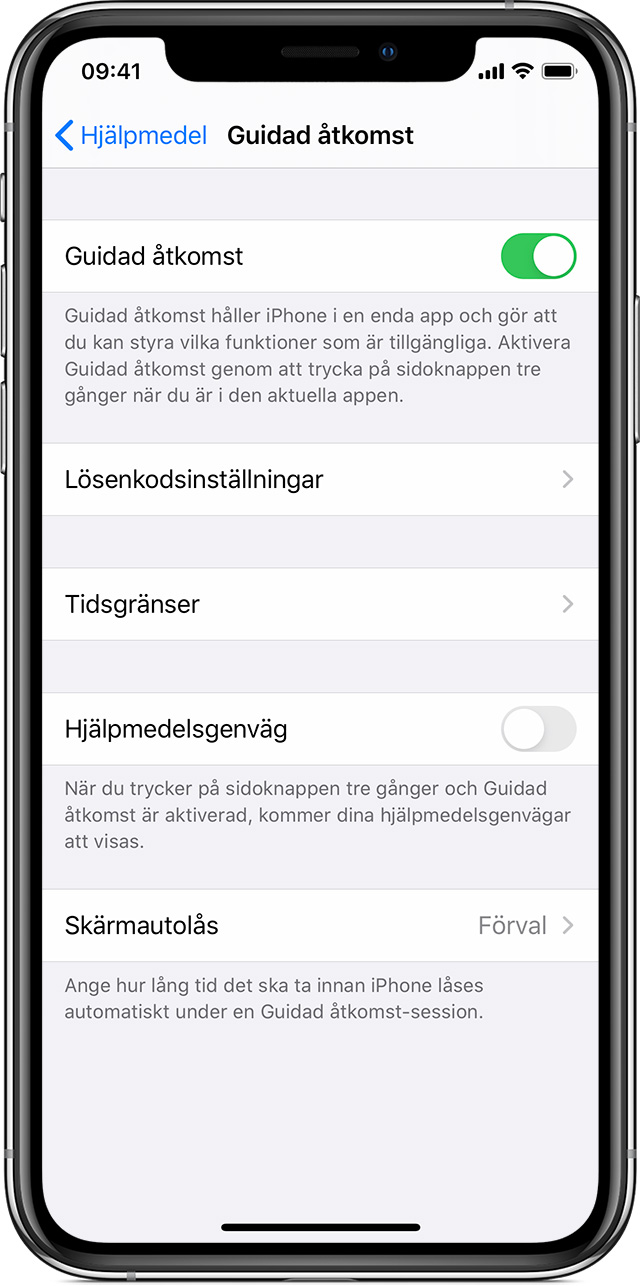  ios13-iphone-xs-settings-accessibility-guided-access