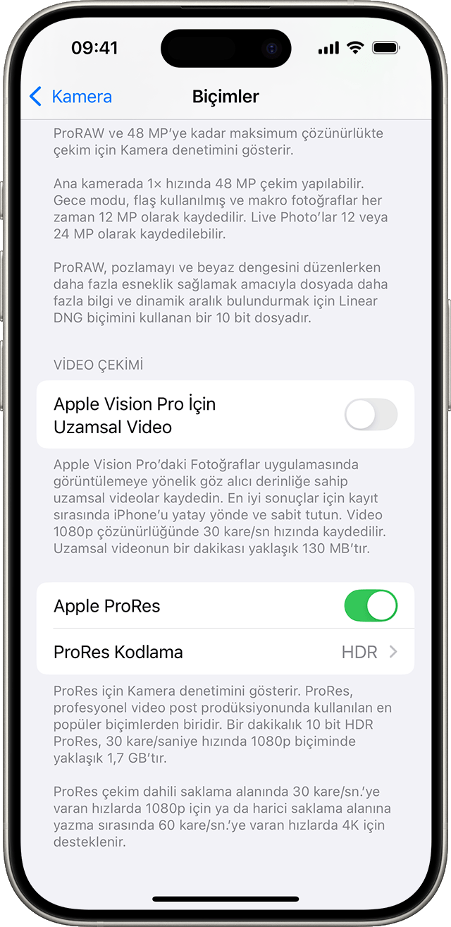 Kamera Biçimleri için ayarları gösteren bir iPhone