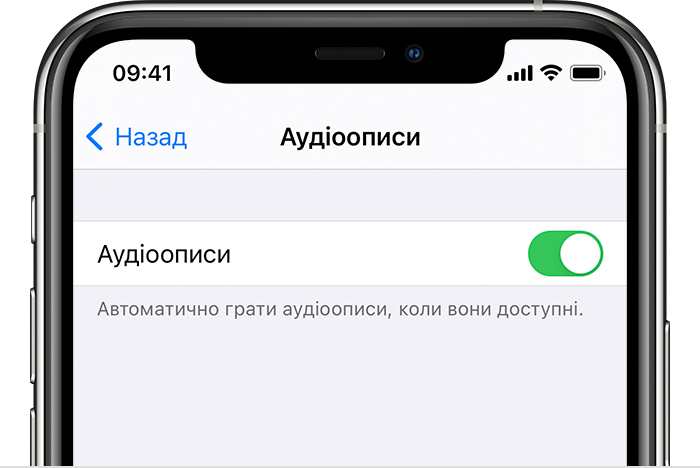 Кнопка «Аудіоописи» в меню «Параметри» на iPhone