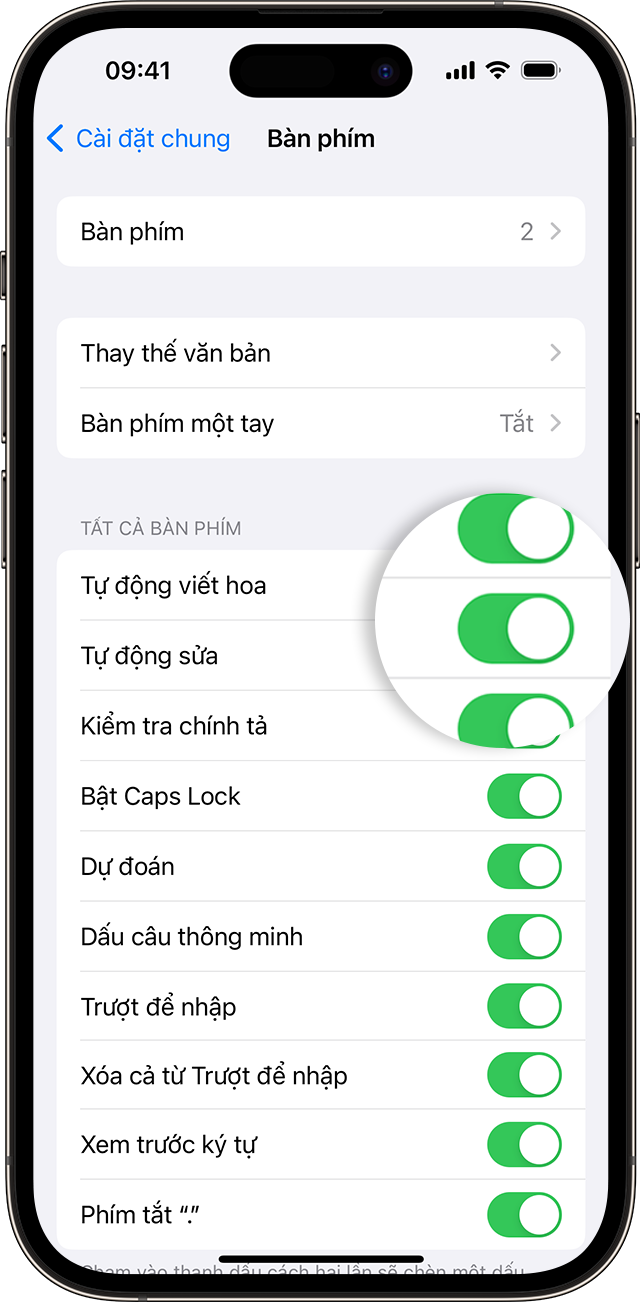 Màn hình iPhone hiển thị cách bật tính năng Tự động sửa.