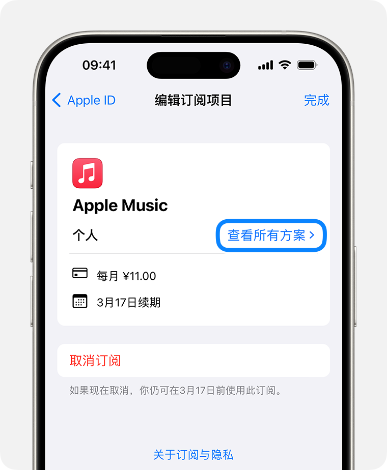 iPhone 15 Pro 显示了“订阅”屏幕。要查看订阅的可用方案，请轻点“查看所有方案”。