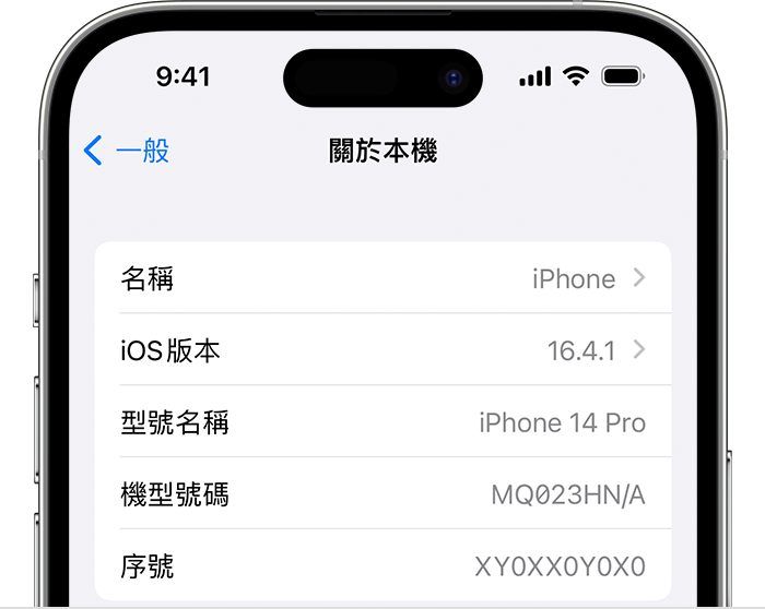 iPhone 的「關於本機」畫面。