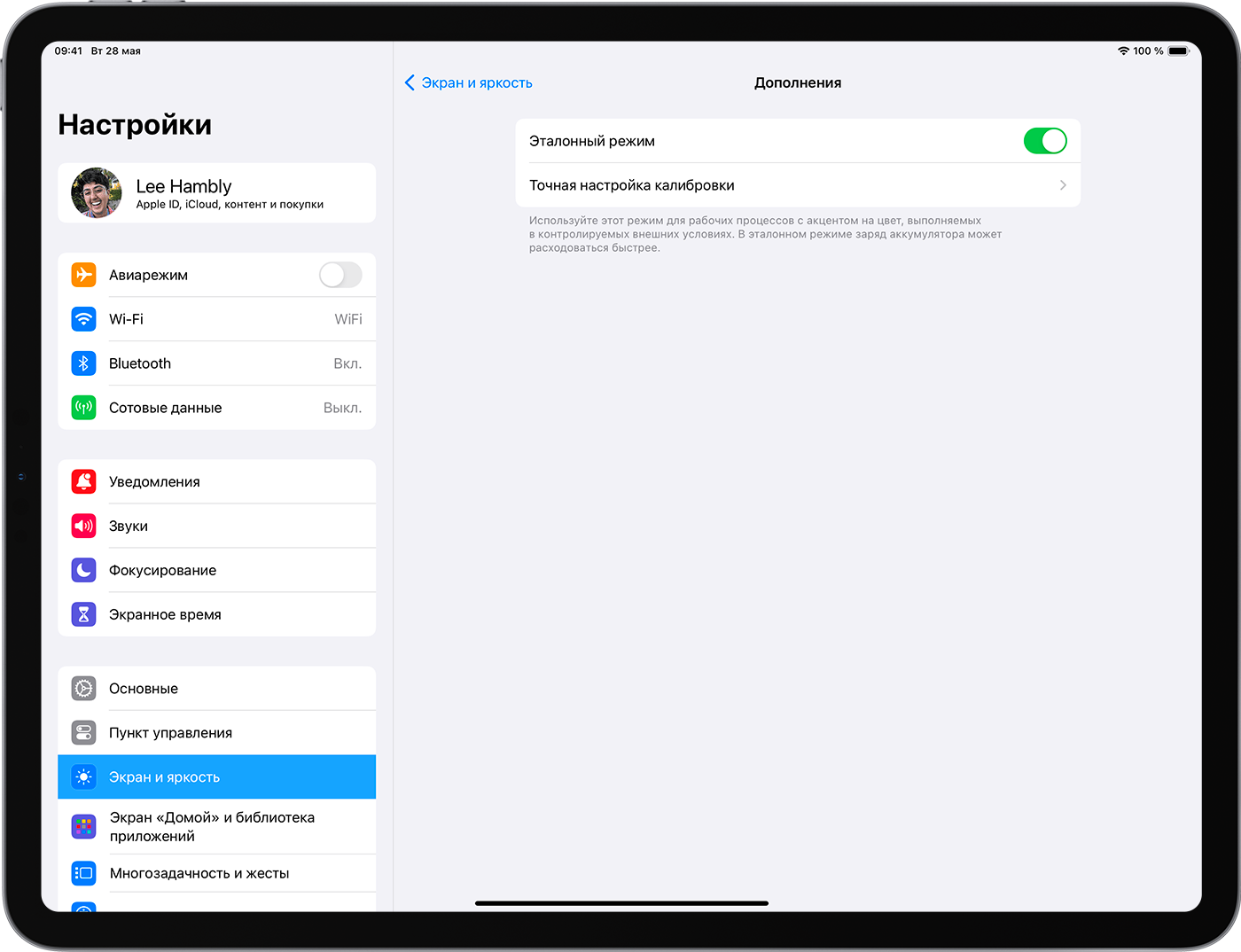 iPad, на котором отображаются расширенные настройки дисплея и яркости. Эталонный режим включен.