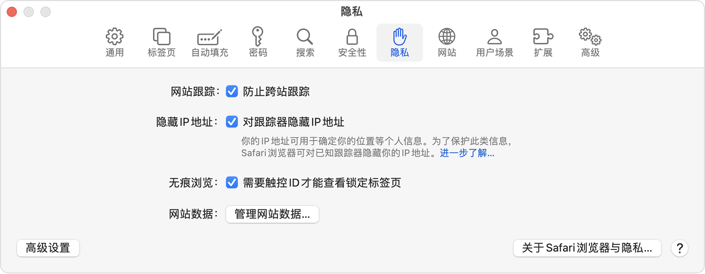 在 Mac 上，前往“Safari 浏览器”>“设置”，然后选取“隐私”，以打开“需要触控 ID 才能查看锁定标签页”。