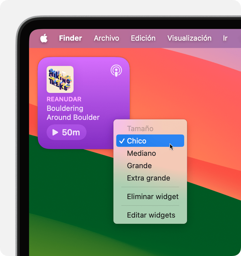 Cambiar el tamaño de un widget