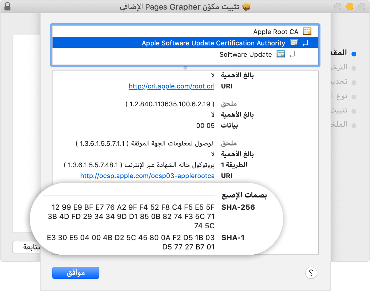 Installer window showing the fingerprints listed in the Details section