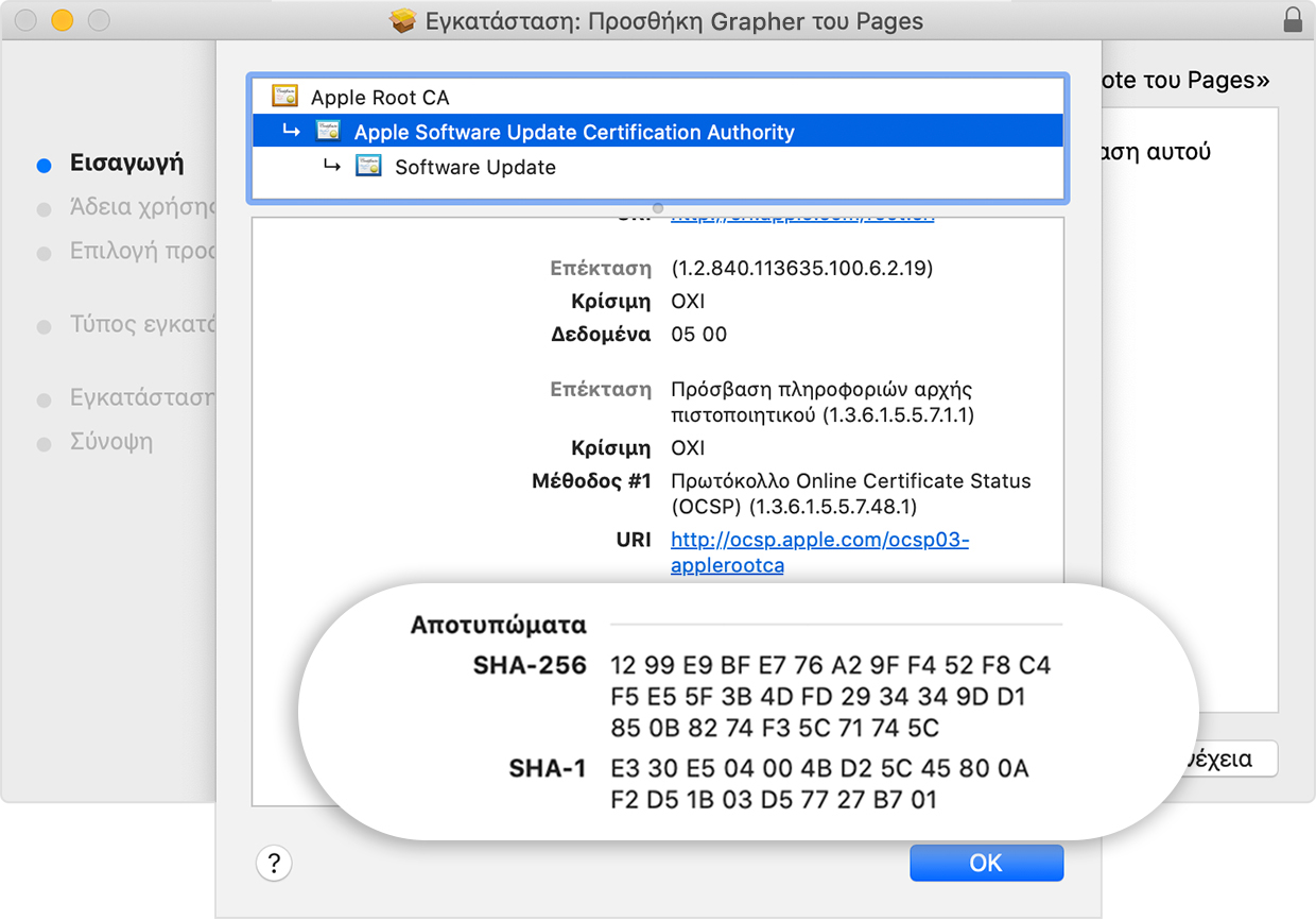 Installer window showing the fingerprints listed in the Details section