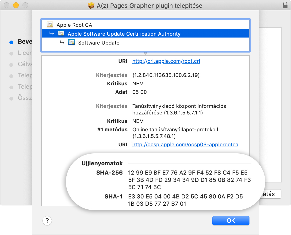 Installer window showing the fingerprints listed in the Details section