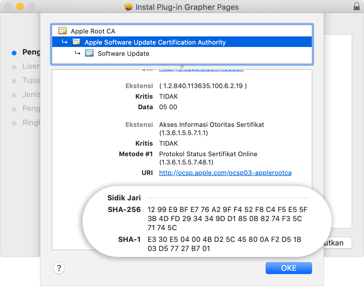 Installer window showing the fingerprints listed in the Details section