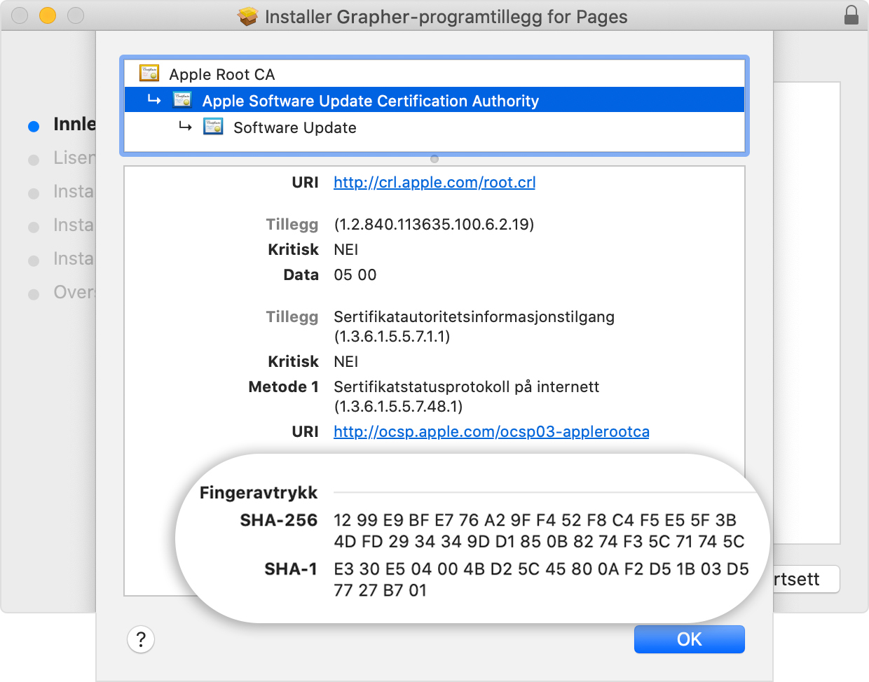 Installer window showing the fingerprints listed in the Details section