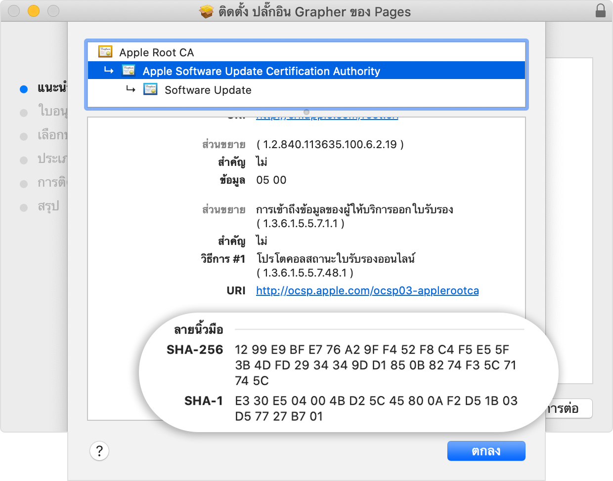 Installer window showing the fingerprints listed in the Details section