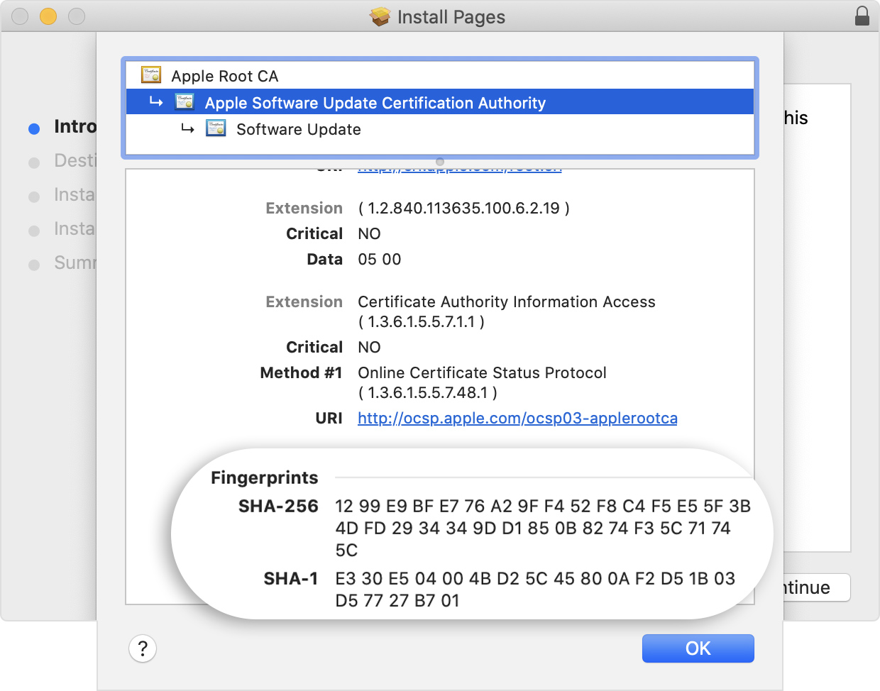 Installer window showing the fingerprints listed in the Details section