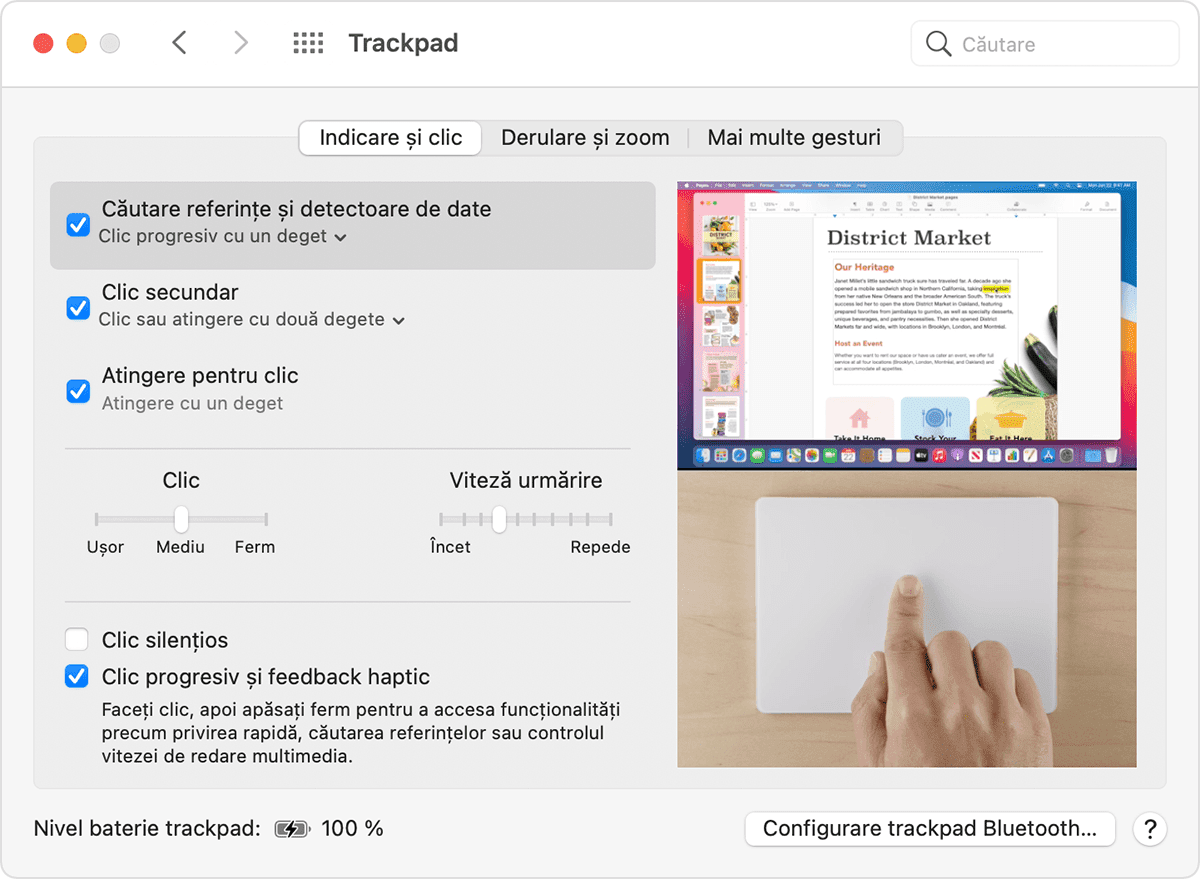 Fereastra Preferințe trackpad macOS