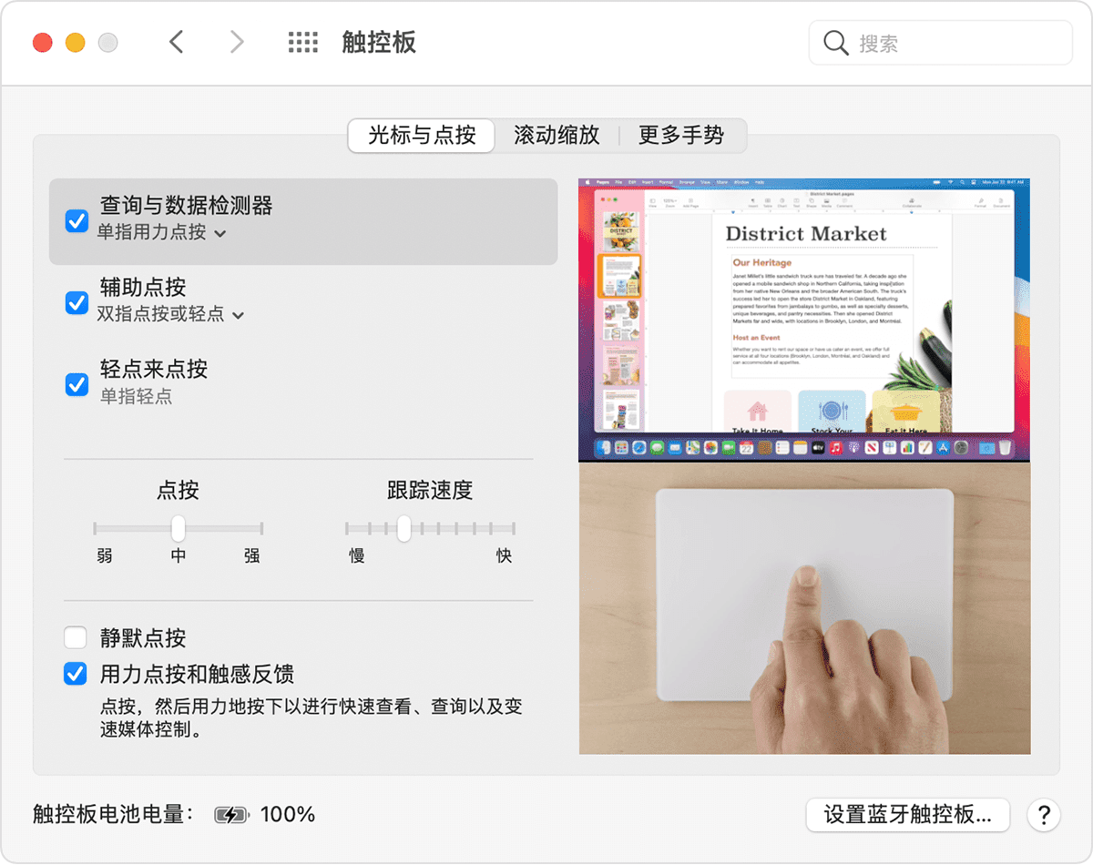 macOS“触控板”偏好设置窗口