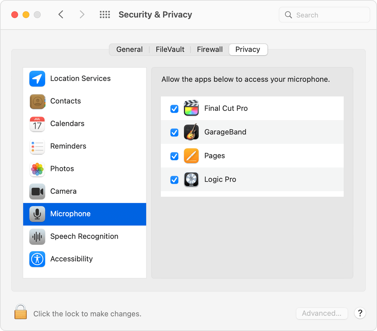 macOS Security & Privacy preferences Privacy tab with Microphone selected