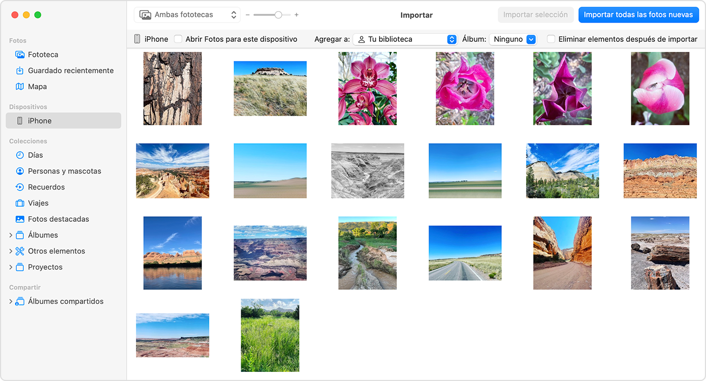 Pantalla Mac en la que se muestran las fotos disponibles para importar