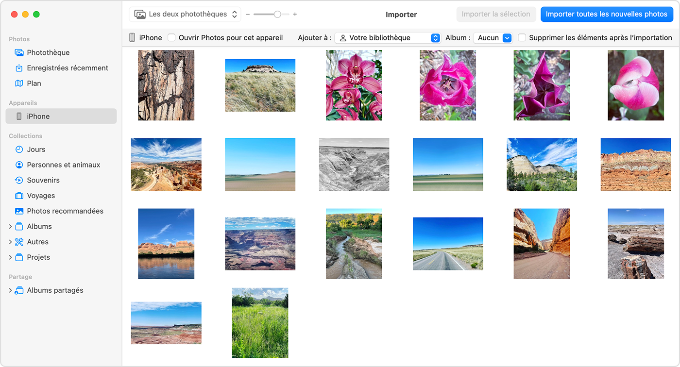 Écran d’un Mac montrant les photos pouvant être importées
