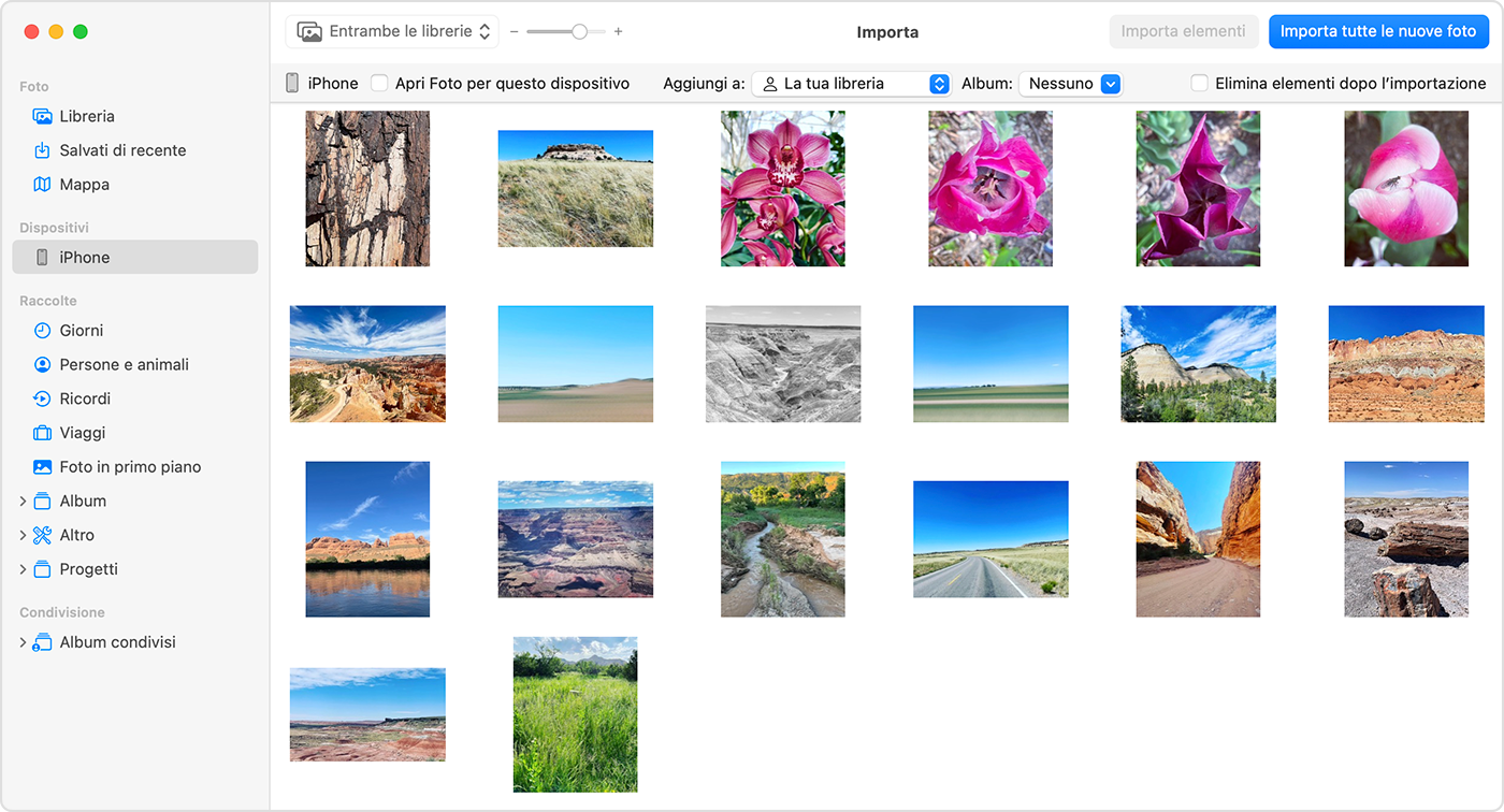 Schermata di Mac che mostra le foto disponibili per l'importazione