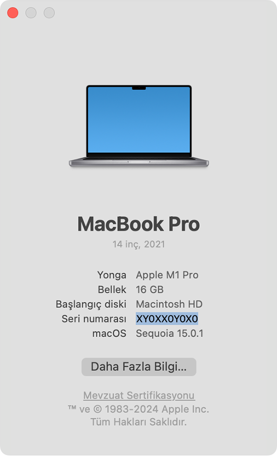 Seri numarası vurgulanmış şekilde Bu Mac Hakkında penceresi