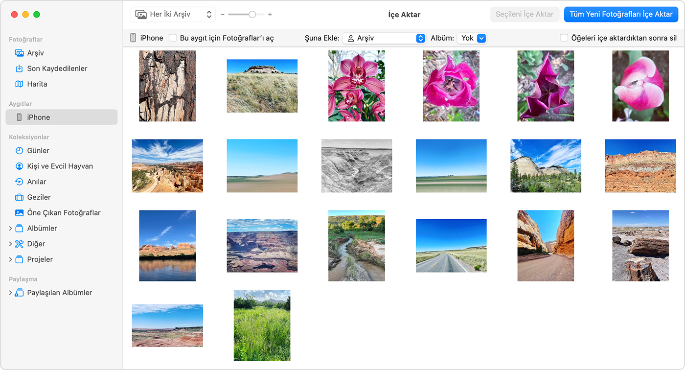 İçe aktarma işlemine uygun olan fotoğrafları gösteren Mac ekranı