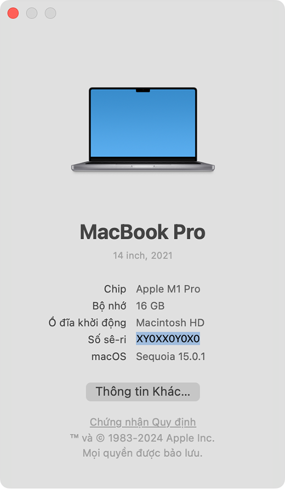 Cửa sổ Giới thiệu về máy Mac này với số sê-ri được đánh dấu
