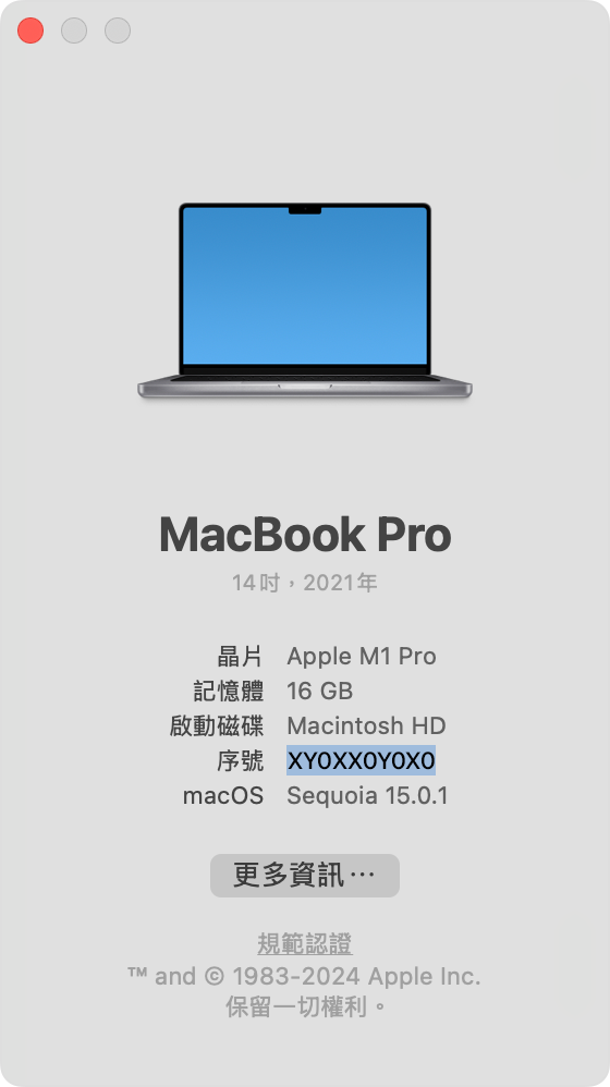 醒目標示序號的「關於這台 Mac」視窗