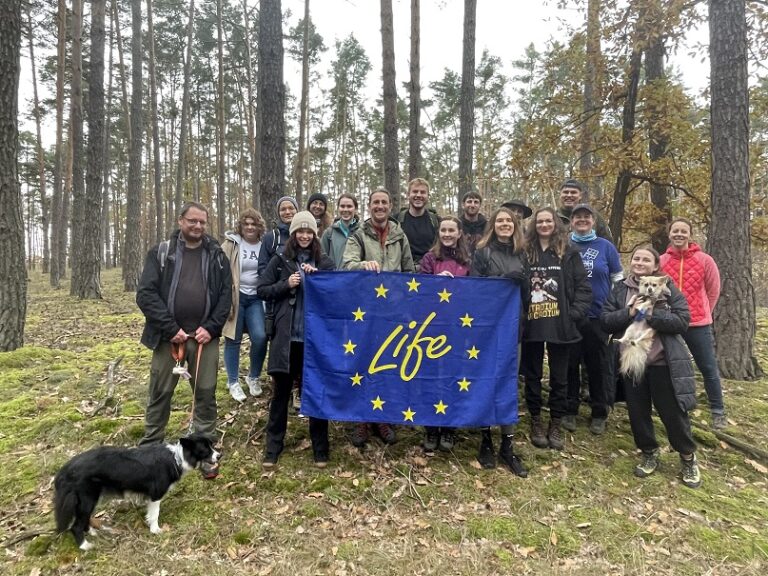 Nature classroom in the pine forest