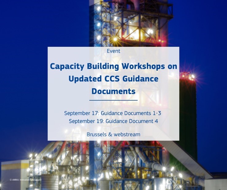 Capacity Building Workshop on updated CCS guidance Documents event