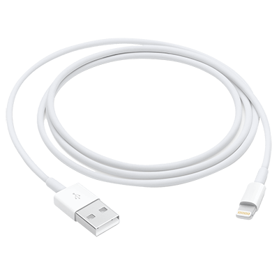 Apple Lightning to USB 1mt