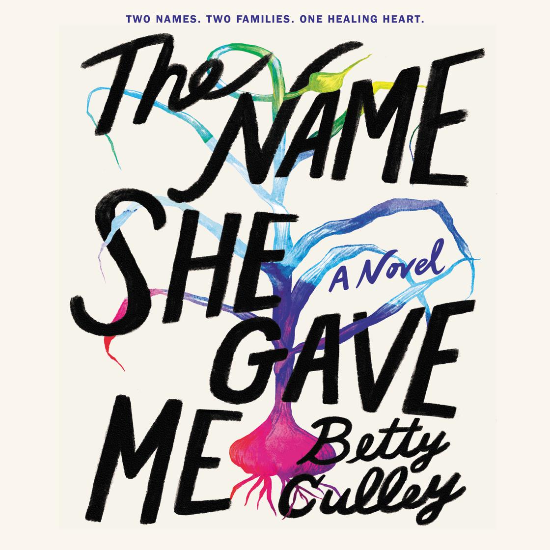 The Name She Gave Me by Betty Culley