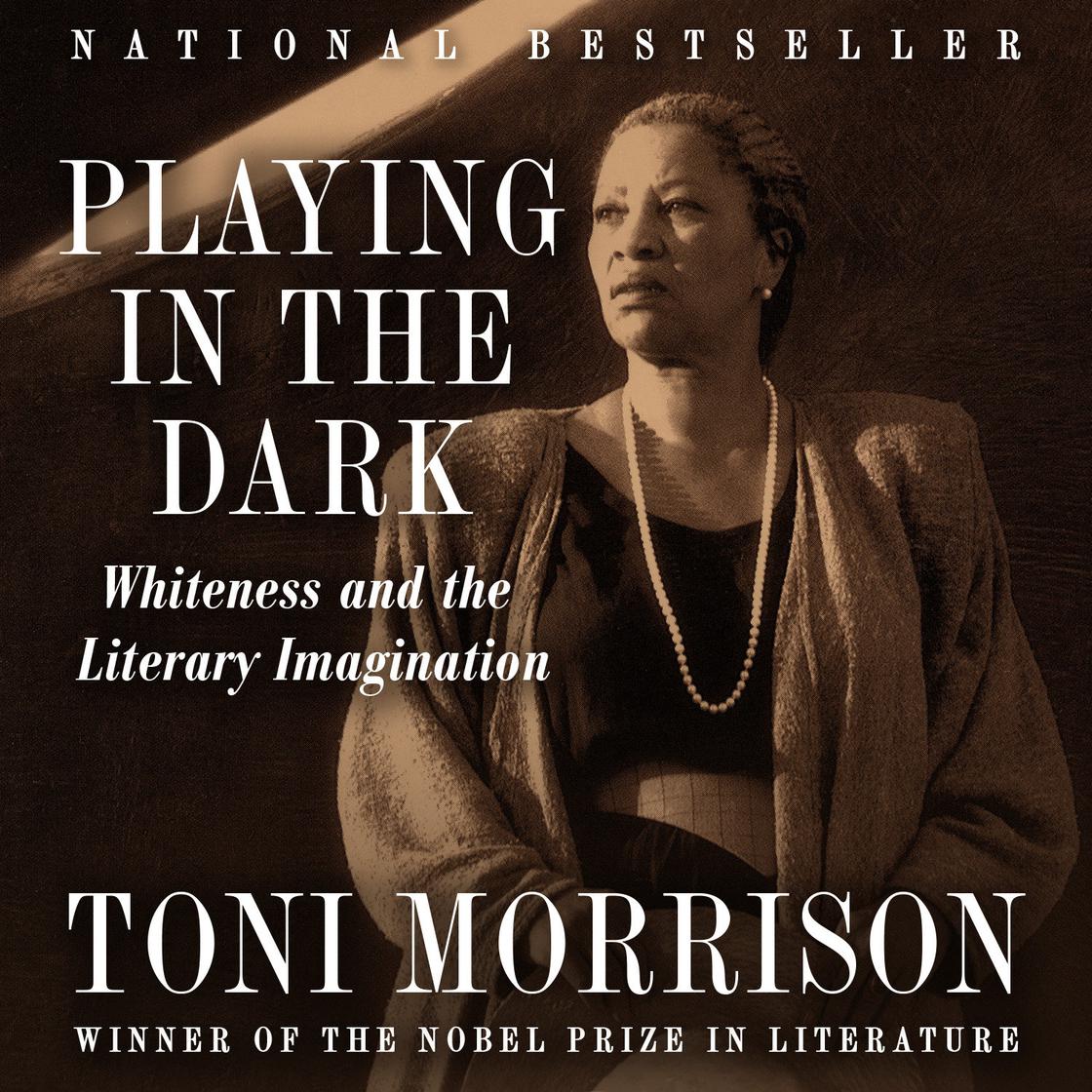 Playing In The Dark by Toni Morrison