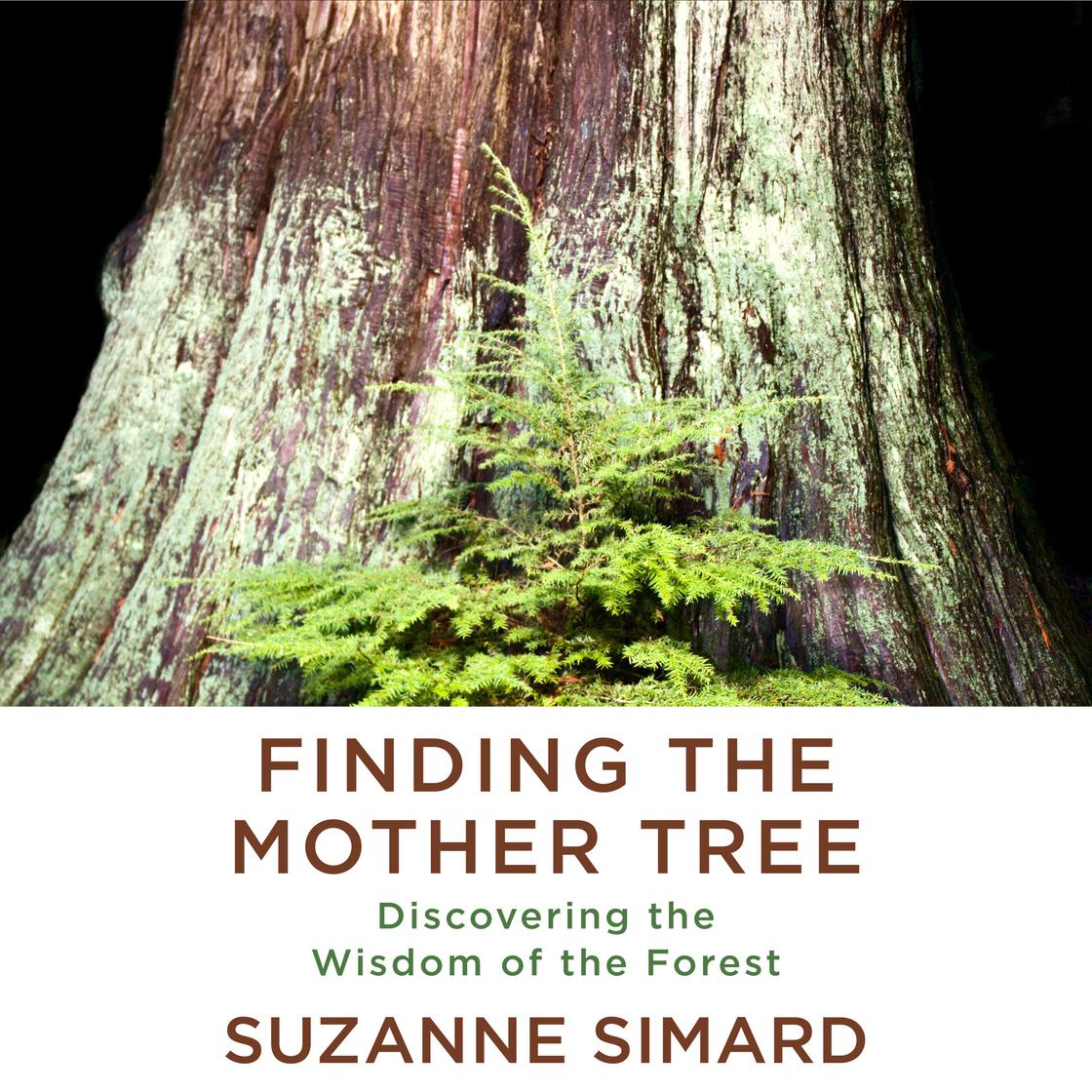 Finding the Mother Tree by Suzanne Simard